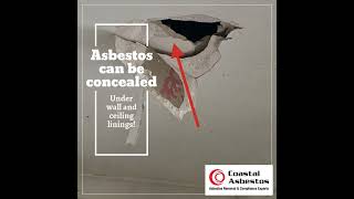 Asbestos can be Concealed behind gyprock [upl. by Ahsimot]