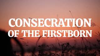 Exodus 131  16 Consecration of the Firstborn  Bible Stories [upl. by Ennayhc]