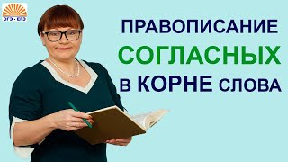 Задание 6 ОГЭ Правописание согласных в корне слова [upl. by Iot188]