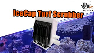 Icecap Turf Scrubbers [upl. by Inama]