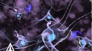 How Neurotransmission amp brain signals work  3D animation [upl. by Nnaeel400]