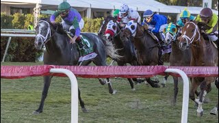 Pegasus World Cup 2022 Preview and Picks [upl. by Oremodlab378]