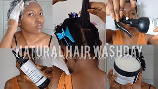 NATURAL HAIR WASH DAY  Ladydee Tressboost review  washday after braids [upl. by Iamhaj]