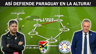 Así podría jugar Paraguay en El Alto [upl. by Anaehr]