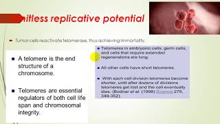 Etiology of cancer 4 [upl. by Jaquith1]