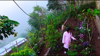 Hillside Slope Garden Ideas Cebu Phils [upl. by Girvin209]