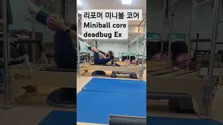 리포머미니볼 miniball 리포머시퀀스 deadbug 미니볼코어 core ballexercise 오운완 바디고 [upl. by Aicatsan]