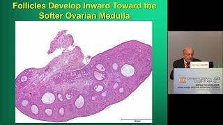 Primordial Follicles to Aged Oocytes How To Get Embryos  SILBER [upl. by Atinor]