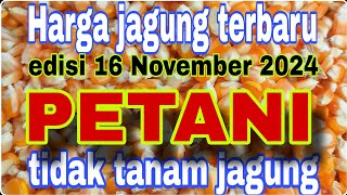 Harga jagung hari ini 16 November 2024Petanimuda2putra [upl. by Noell]