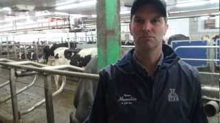 Aux petits soins pour ses vaches [upl. by Notsek]