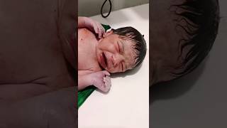 Baby born born shortvideo viralvideo newbornbaby [upl. by Siahc]