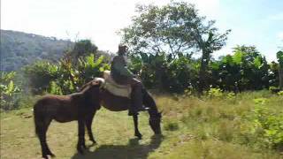 Haitian Creole Music Bonne Fete Haiti [upl. by Adnahc]