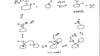 Mechanism of Enamine Formation Organic Chemistry [upl. by Far]