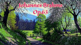 Johannes Brahms  Op63 Nine Lieder and Songs [upl. by Celle]