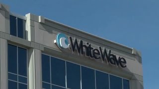 Jim Cramer and Jack Mohr Discuss Why WhiteWave Is a Winner [upl. by Ettenwahs696]