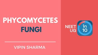 Phycomycetes  Fungi  NEET Biology  NEET UG in 10 [upl. by Ralleigh]