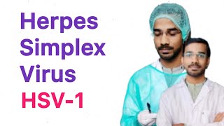 Herpes Simplex Virus  1 HSV1  Clinical Manifestations [upl. by Velvet616]