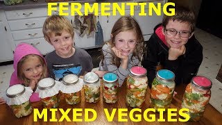 Fermented Mixed Vegetables [upl. by Knarf]