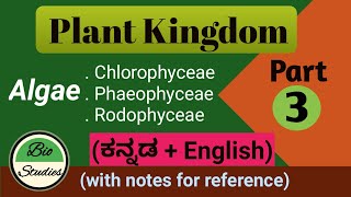 in Kannada Class 11 Plant Kingdom Part 3 Classes of Algae [upl. by Rooke]