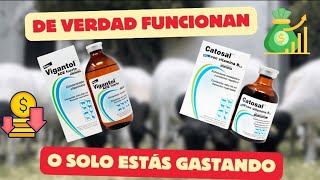 CATOSAL Y VIGANTOL ¿FUNCIONAN Vitaminas para el ganado [upl. by Thomey903]