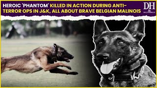 Heroic Phantom killed in action during anti terror ops in JampK all about brave Belgian Malinois [upl. by Yekram]