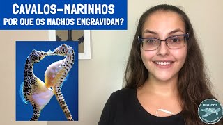 Cavalosmarinhos por que os machos engravidam  Biologia Marinha em Revista 8 [upl. by Aneerbas445]