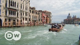 Venetian Lagoon islands Burano and Murano  DW English [upl. by Nara]