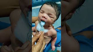 Part2  New born baby first feeding  newbornbaby feedshorts babycare milkfeeding ytshorts [upl. by Dorraj]