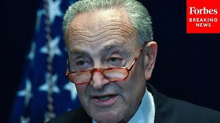 Schumer Calls GOP Border Bill A Nonstarter As Fight For Ukraine Aid Intensifies [upl. by Decca]