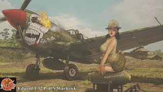 Eduard 132 P40N Warhawk review [upl. by Einafit]