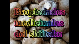 Propiedades medicinales del Shiitake medicinal [upl. by Rehctaht]