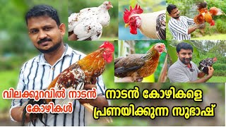 നാടൻ കോഴി വളർത്തൽ  Nadan kozhi valarthal 🐔🐓 [upl. by Htrow]