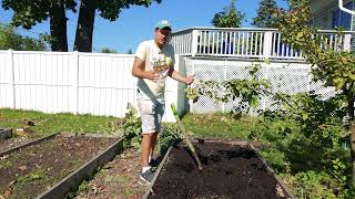 This Ancient and Highly Efficient Composting Method Will Change How You Garden [upl. by Tati]