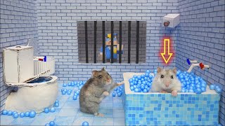 Hamster Escapes Prison Maze 🛑Live Stream [upl. by Ahsitaf]