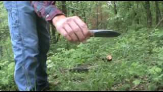 Turley Knives Gasconade River bushcraft knife [upl. by Dronel96]