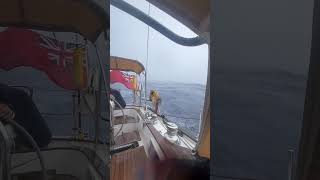 Rustler 42  We are nearly in Bermuda Force 7 forecast She sails amazingly shorts [upl. by Olegnalehcim]