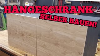 Hängeschrank für die Werkstatt selber bauen mit Topfscharniere Schränke selber bauen [upl. by Toor208]