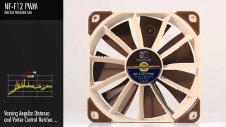 Noctua NFF12 PWM [upl. by Dulsea899]