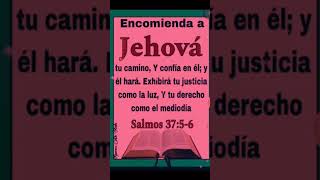 Encomienda a Jehová tu camino🐑🐑🙏♥️🕊️🌻🇨🇷 [upl. by Cami173]