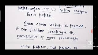 How Pepsinogen is Converted in to pepsin Ch16 Digestion CLASS 11 BIOLOGY [upl. by Karil]