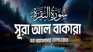 Surah Baqarah سورة البقرة  সূরা আল বাকারা। Best Emotional Quran Tilawat  Sheikh Masud [upl. by Max]