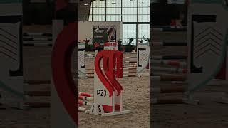 Moje pierwsze zawody equestrian riding horsejumping horseriding jumping showjumping [upl. by Nedearb]