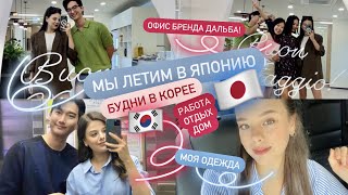 МЫ ЛЕТИМ В ЯПОНИЮ 🇯🇵 ОФИС БРЕНДА dAlba ✨ НАШИ БУДНИ В КОРЕЕ 🇰🇷 РАБОТА ОТДЫХ ДОМ 🏠 МОЯ ОДЕЖДА [upl. by Thordis]