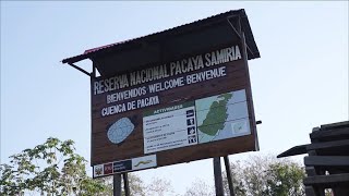 Vive como sueñas  Reserva Nacional Pacaya Samiria [upl. by Mazman593]