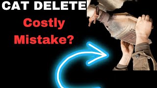 Catalytic Converter Removal Pros and Cons CAT Delete 101 [upl. by Hayman]