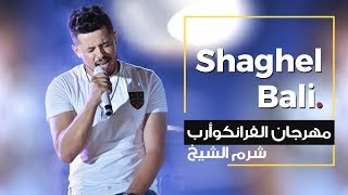 Adil Assil  Shaghel Bali  عادل أصيل شاغلبالي مهرجان الفرانكوأرب شرم الشيخ [upl. by Carin]