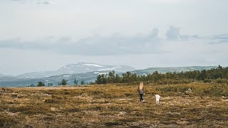 MIDSUMMER IN THE MOUNTAINS  12 Life in Norway [upl. by Nylear]