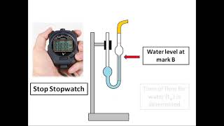 Viscosity coefficient measurement with Ostwalds viscometer  Animated Practical Instruction [upl. by Nerral]