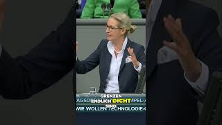 Die Ziele der AfD  lasst gerne ein Abo da [upl. by Coreen]