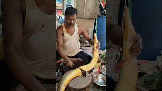 Fish Cutting Skills  Great Giant Eel Fish Cutting Live In Fish Market  shorts fish fishing [upl. by Amo]